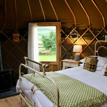 Sunbank Accommodation Llangollen Dış mekan fotoğraf