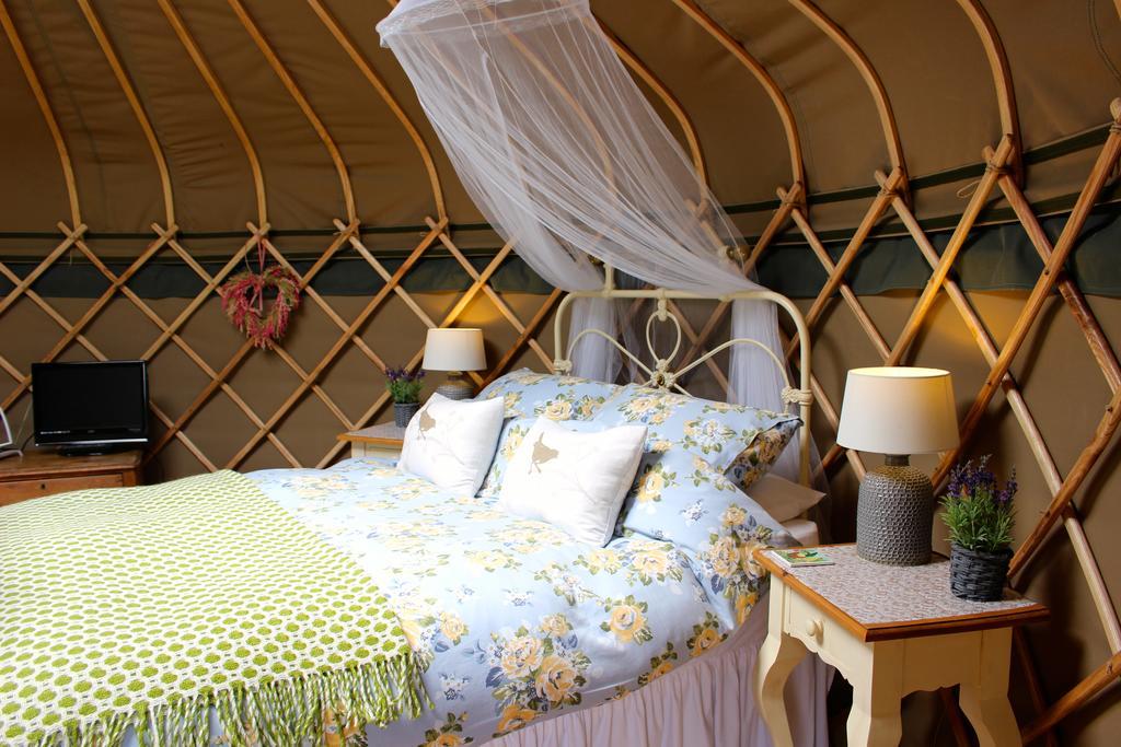 Sunbank Accommodation Llangollen Dış mekan fotoğraf